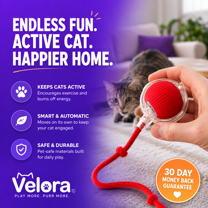 Smart Rolling Cat Ball